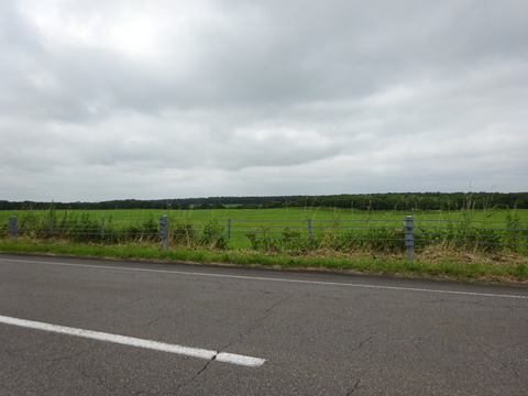DSC00685