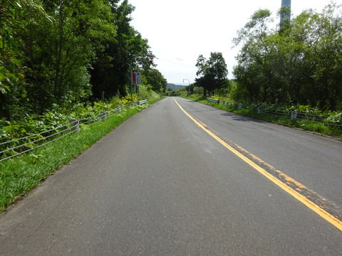 DSC00711