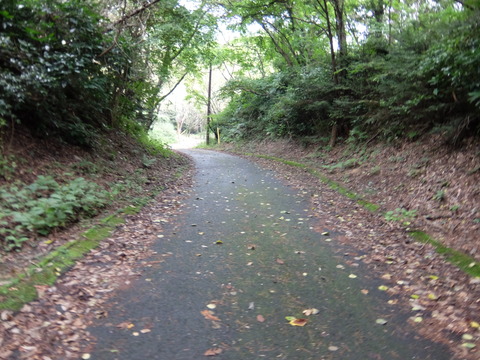 DSCF6439