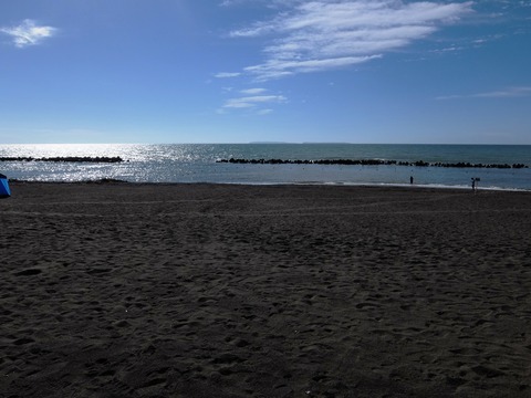 DSCF2645