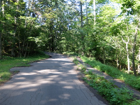DSCF5073