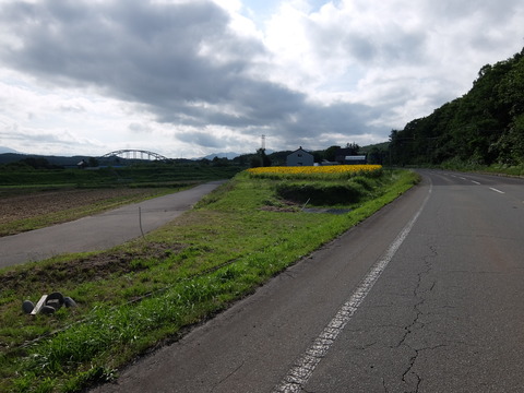 DSCF4359
