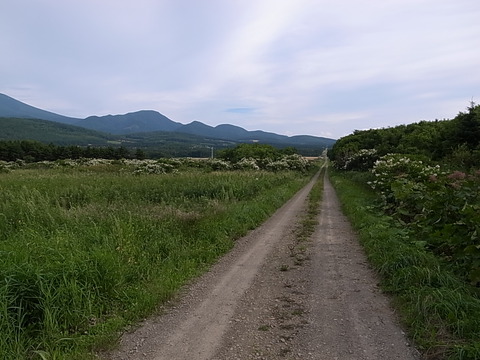 R0011423