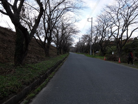DSCF5876