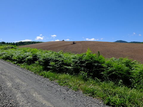 DSCF3168