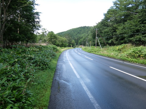DSCF6698