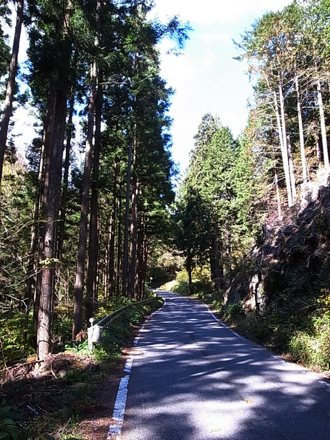 R0011676