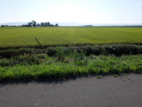 DSCF7589