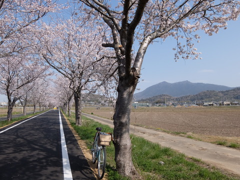 DSCF6036