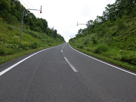 DSCF4954
