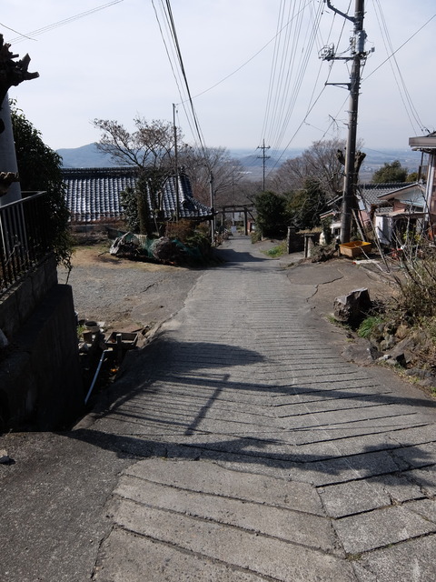 DSCF5997