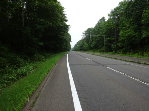 DSC00551