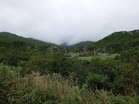 DSCF4977