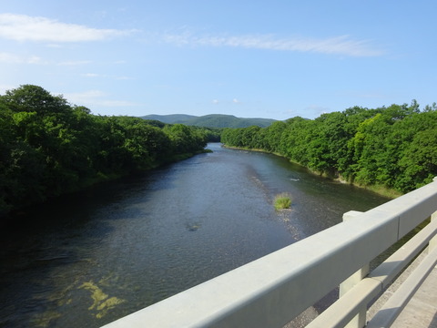 DSC00206