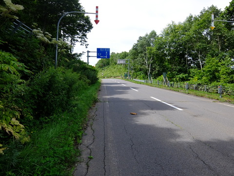 DSCF2994