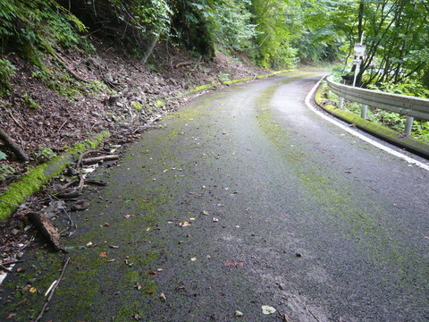 P1010747