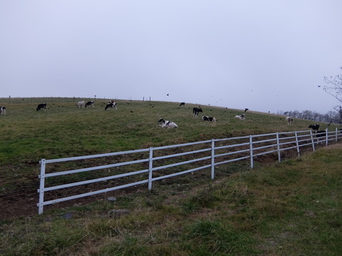 DSCF2064