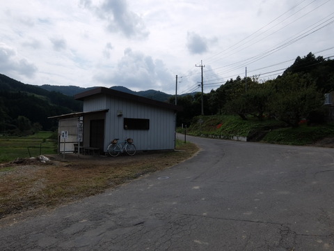DSCF6233