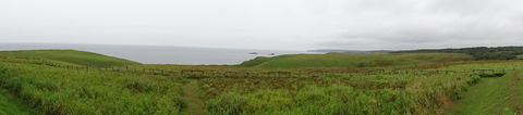 DSC00785