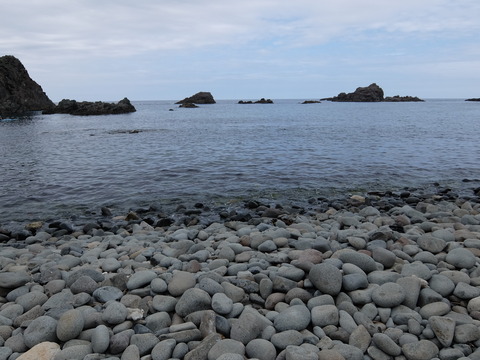 DSCF4662