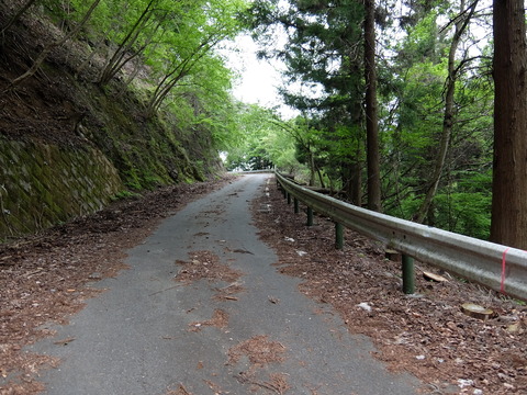 DSCF1727