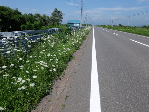 DSCF2535