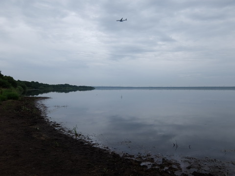 DSCF3769