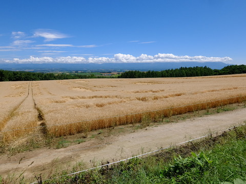 DSCF3178