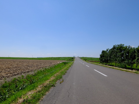DSCF3442
