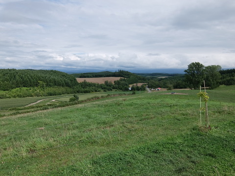 DSCF7412