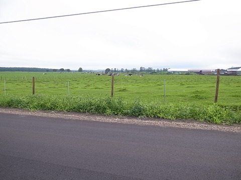 R0011447