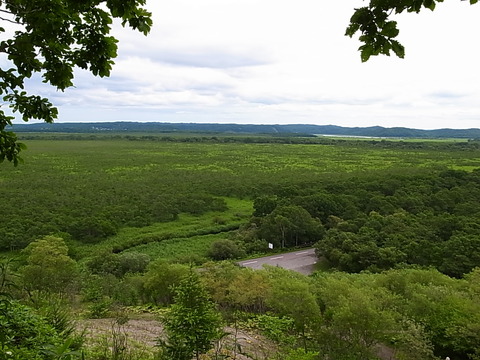 R0011490