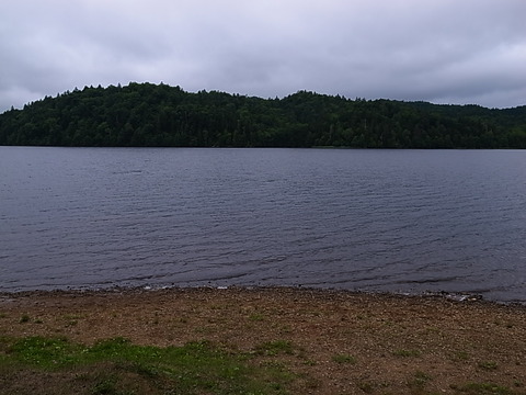 R0011954