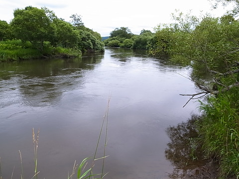 R0011481