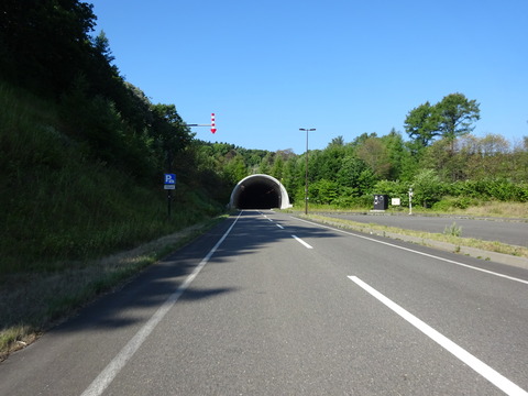 DSC00390