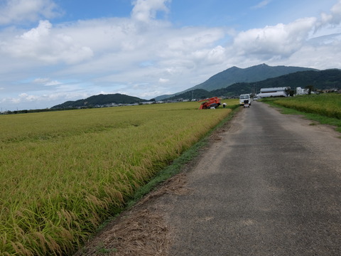 DSCF6386