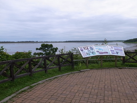R0011346