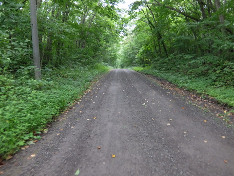 DSCF3973