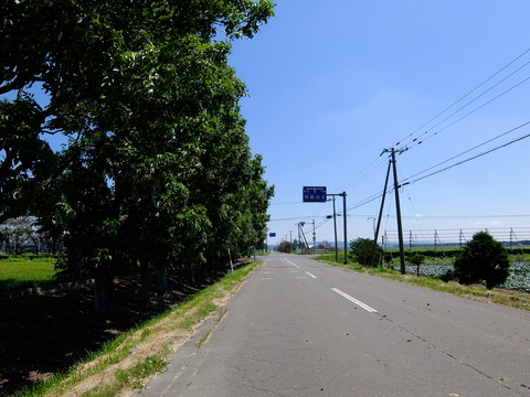 DSCF3446