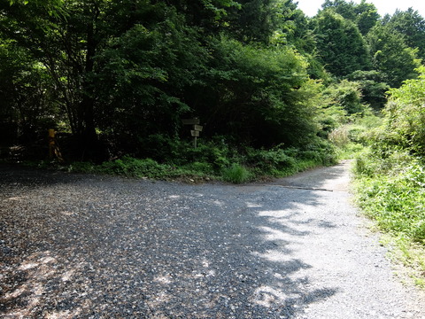DSCF5642