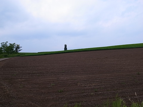R0012130
