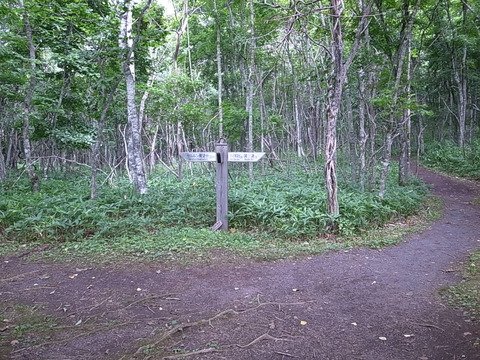 R0011467