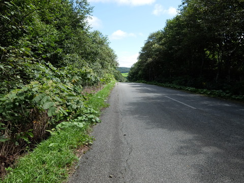 DSCF7164