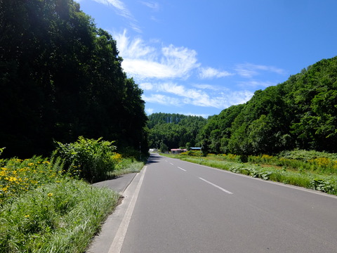 DSCF3123