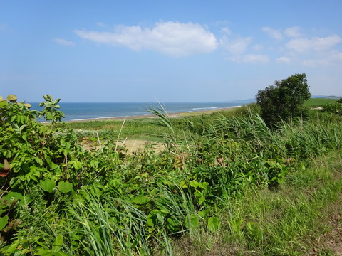 DSC00318