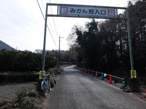 DSCF6288