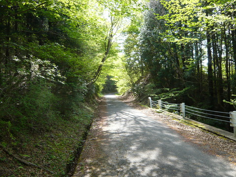 P1020070