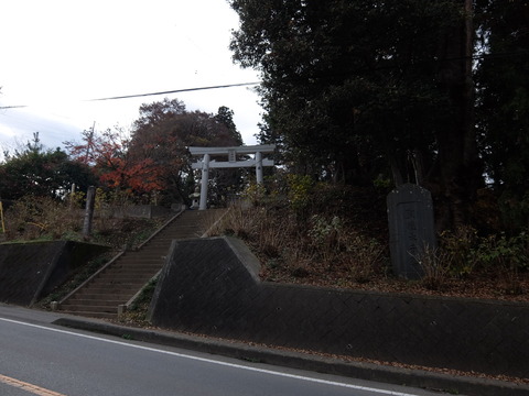 DSCF5826