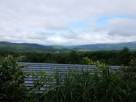 DSCF4947