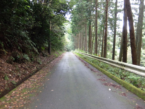 DSCF6441